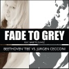 Babette Duwez、Beethoven 'Tbs' - Fade to Grey (Italian House Mafia Moog Mix)(Feat. Babette Duwez)()