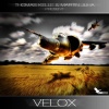 Thomas Kelle、Martin Juha - Oxalis