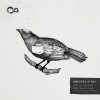Dyl、Brusten - Stuck On You