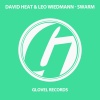 Leo Wiedmann、David Heat - Swarm