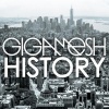 gigamesh、Damon Scott - History