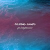 Yoga Music Reflections、Yoga Music Experience、Yoga Music Swami - Binaural Theta Waves