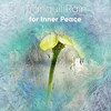 Rain Sounds & Nature Sounds, Heavy Rain Sounds, Rain, Thunder and Lightening Storm Sounds - Summer Rain
