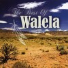 Walela - Is Everybody Here