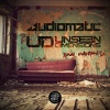 Audiomatic、Unseen Dimensions - Raw Emotions