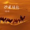 陈烁 - 沙漠 (DJ版)