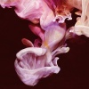 Simian Mobile Disco、Deep Throat Choir、Jas Shaw - Caught In a Wave (Jas Shaw 15 Volts Mix 1)