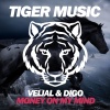 Digo、Vilial、Brayan Bhiggest - Money On My Mind (Original Mix)