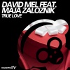 David Mel、Maja Založnik - True Love (Vocal Mix)(Feat. Maja Zaloznik)