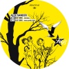 Alexsander - Solid Funk