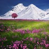 Sounds of Nature Relaxation、Meditation Rain Sounds、SPA - Mornings in Paradise