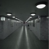 Dorian Knox、Billion Jaguar - Symbiosis