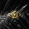 Dropwizz - Sloth
