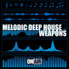 Stephan Crown - Rocking House