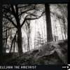 Elejkaa - At Night