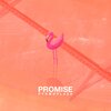PYRMDPLAZA、Levi Thomas Robinson - Promise