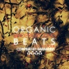 Spartaque - Fly Attack (Ant Brooks Remix)