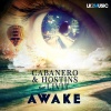 Hostins、Livit - Awake (feat. Livit)