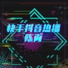 陈丙 - 回手掏 (DJ版)