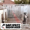 dave spritz - Shadow Boxer