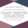 V 100 Chart Tributes《Scared To Be Lonely (Tribute To Martin Garrix & Dua Lipa)》[MP3/LRC]