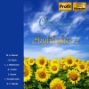 Deutsche Bachsolisten、Helmut Winschermann - Brandenburg Concerto No. 3 in G Major, BWV 1048 - I. —