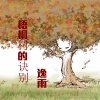 逸雨 - 梧桐树的诀别