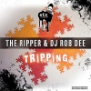 The Ripper、RobDee - Tripping (Daniel Licht Remix)