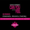 david herrero - Can You Feel It