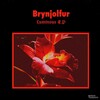 Brynjolfur - Fluxx (Original Mix)