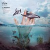 Brandub - Gravity
