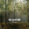 Yoga Music Reflections、Yoga Music Experience、Yoga Music Swami - Cloud Regeneration