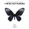 Terje Saether - The Black Museum