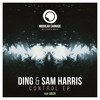 Ding - Control
