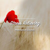 Meditation Music Club、Sleep Meditation Dream Catcher、Meditation and Stress Relief Therapy - Brainwaves Within