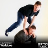 Fully Charged - Wallabee