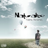 Dual Chaos、Naturalize - Fading Memories