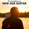 New Age Naturists - New Age Guitar