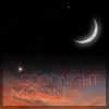 Moonlight Richards《Goodnight Moon》[MP3/LRC]