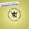 Tom Novy、Amadeas - Dancing in the Sun