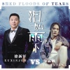雨霖枫、徐新军 - 泪如雨下