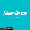 Sandy Nelson《Twisted》[MP3/LRC]