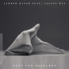 Andrew Bayer、Alison May - Open End Resource (In My Next Life Mix)