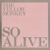 THE YELLOW MONKEY - パンチドランカー (Live|Remastered)