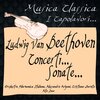Orchestra Filarmonica Italiana、Alessandro Arigoni、Cristiano Burato - I. Allegro con Brio