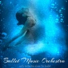 Ballet Dance Company - Adagio