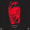 Amyss - Rogue