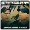 FraNo、Matthew Kramer、WAG - Playa d'en Bossa (Sax Version)