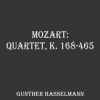 Gunther Hasselmann、Wolfgang Amadeus Mozart - I. Andante