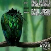 paul darey、Hannes Bruniic《Dilusion》[MP3/LRC]